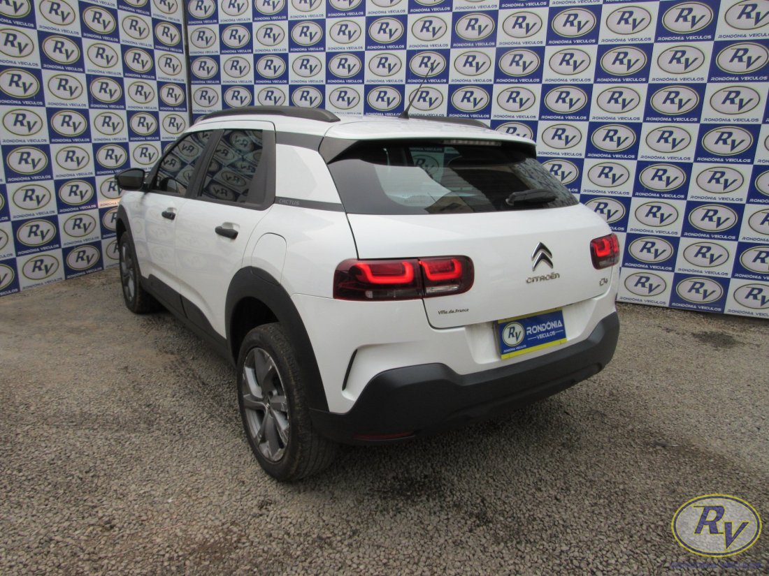 c4 cactus feel