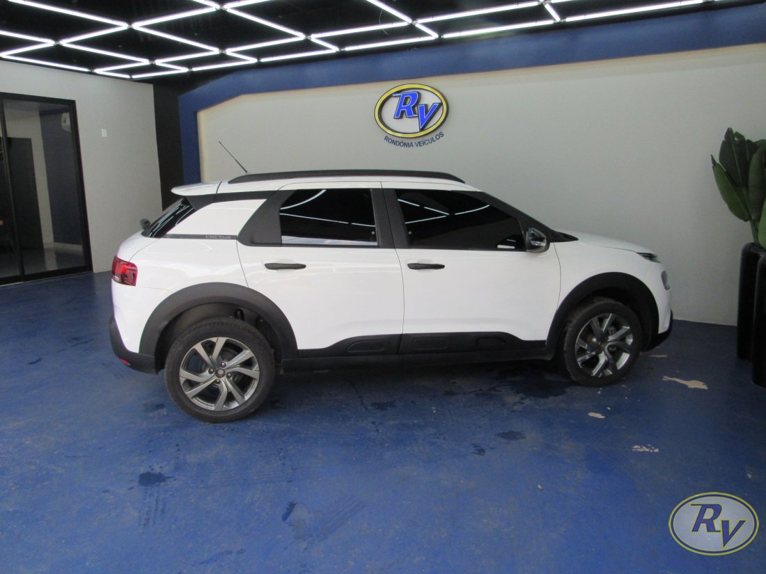 c4 cactus feel