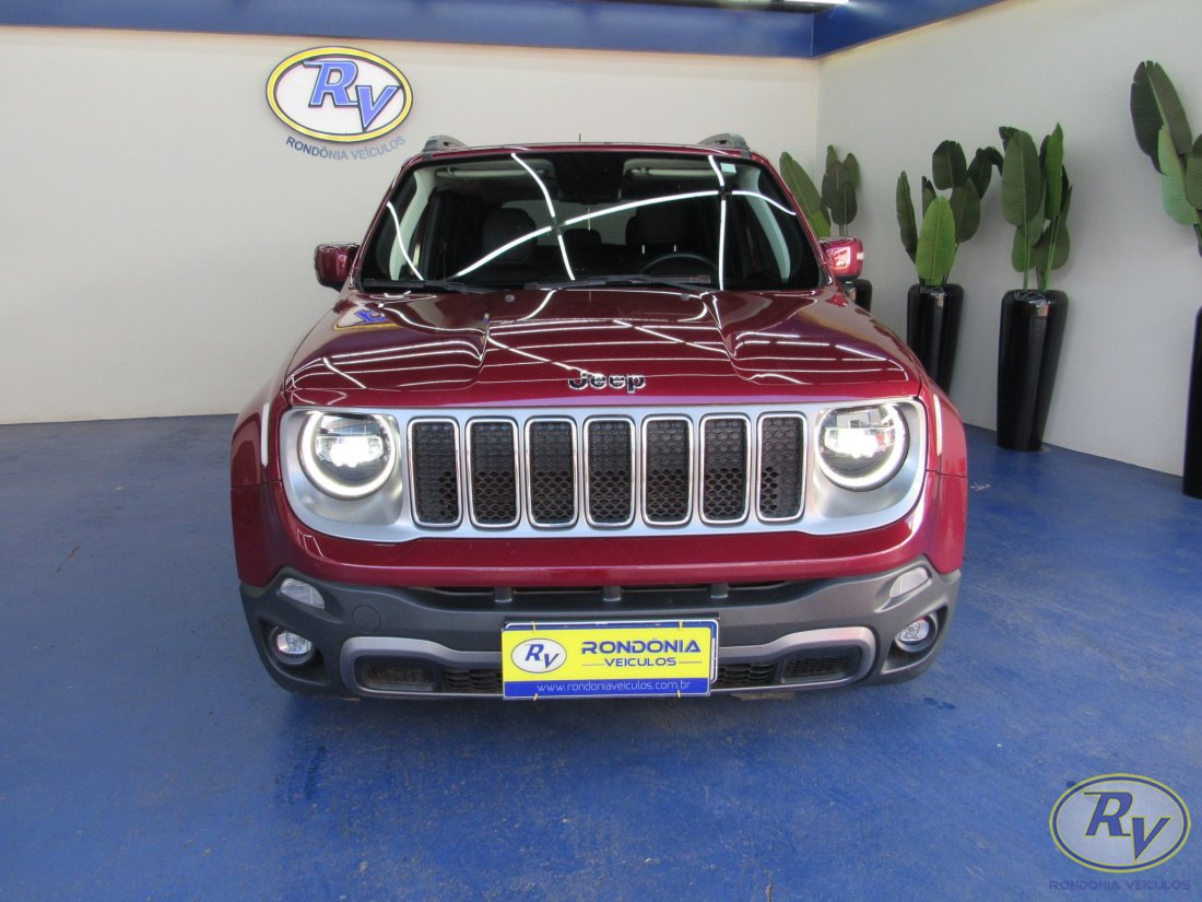RENEGADE LIMITED
