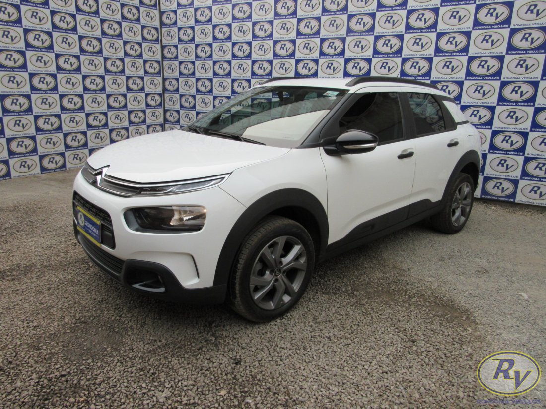 c4 cactus feel