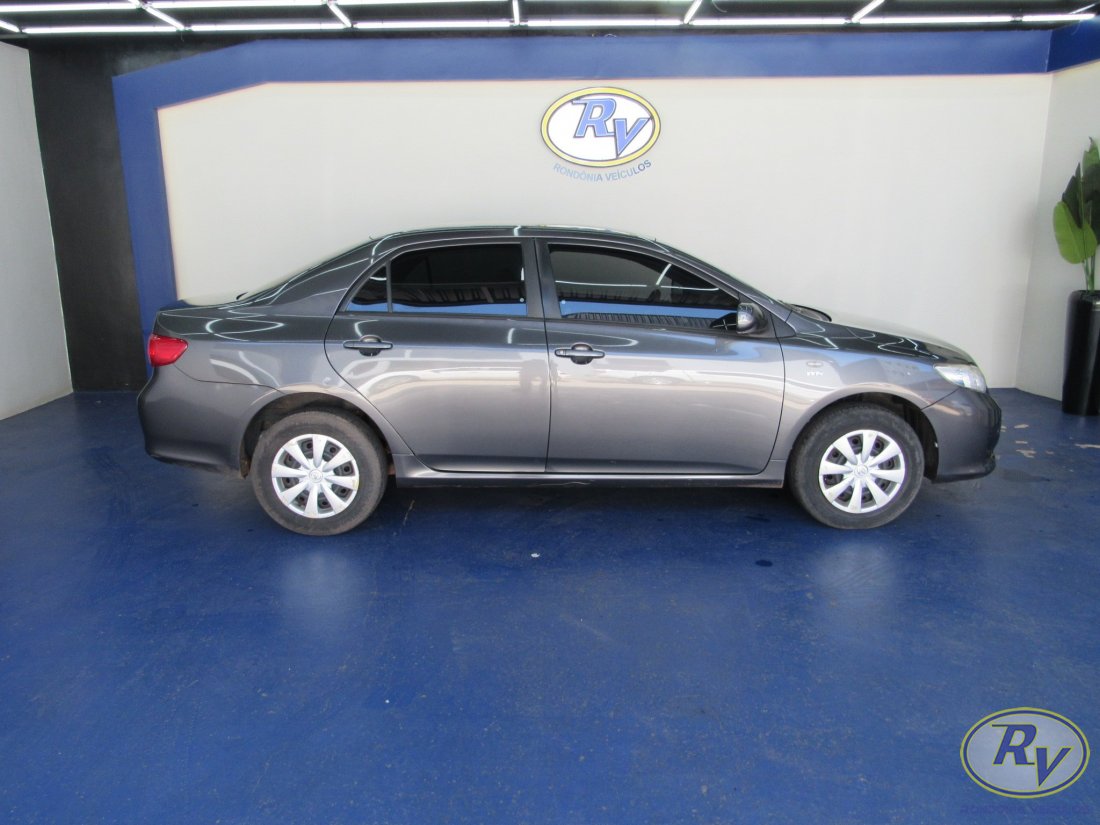 Corolla XLI
