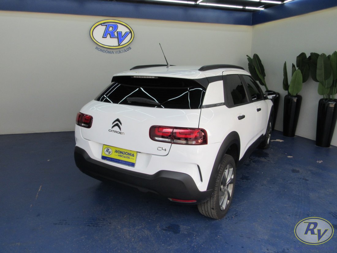 c4 cactus feel