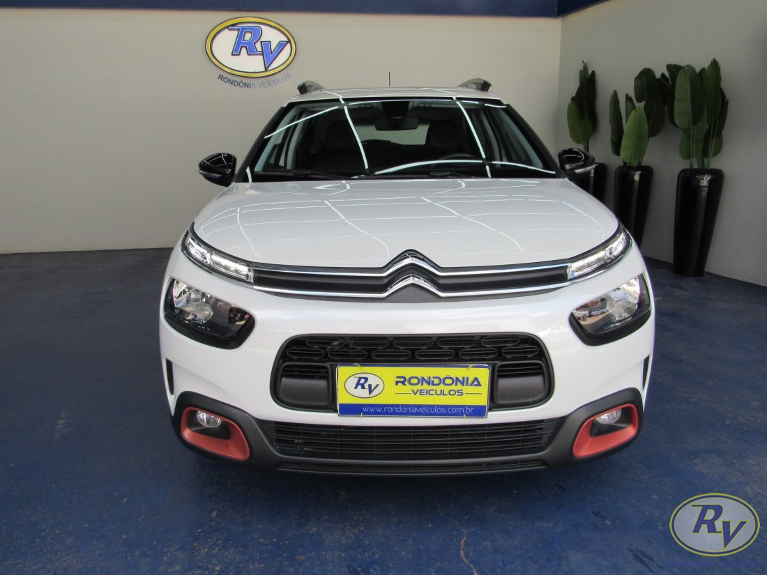 c4 cactus feel
