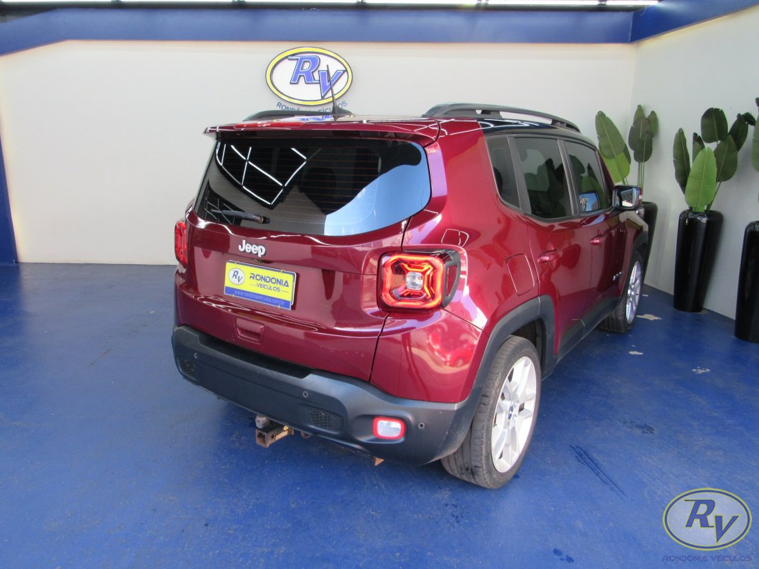 RENEGADE LIMITED