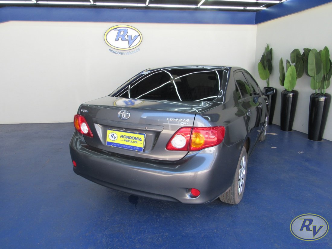 Corolla XLI