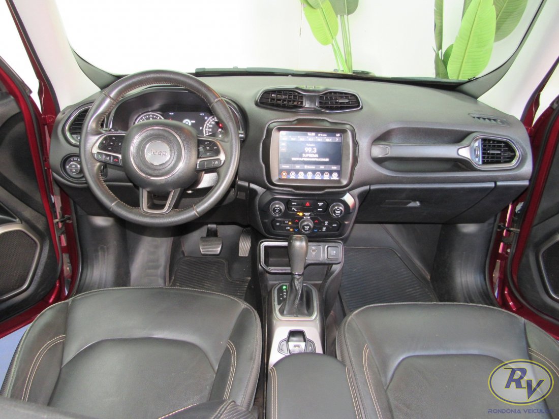RENEGADE LIMITED