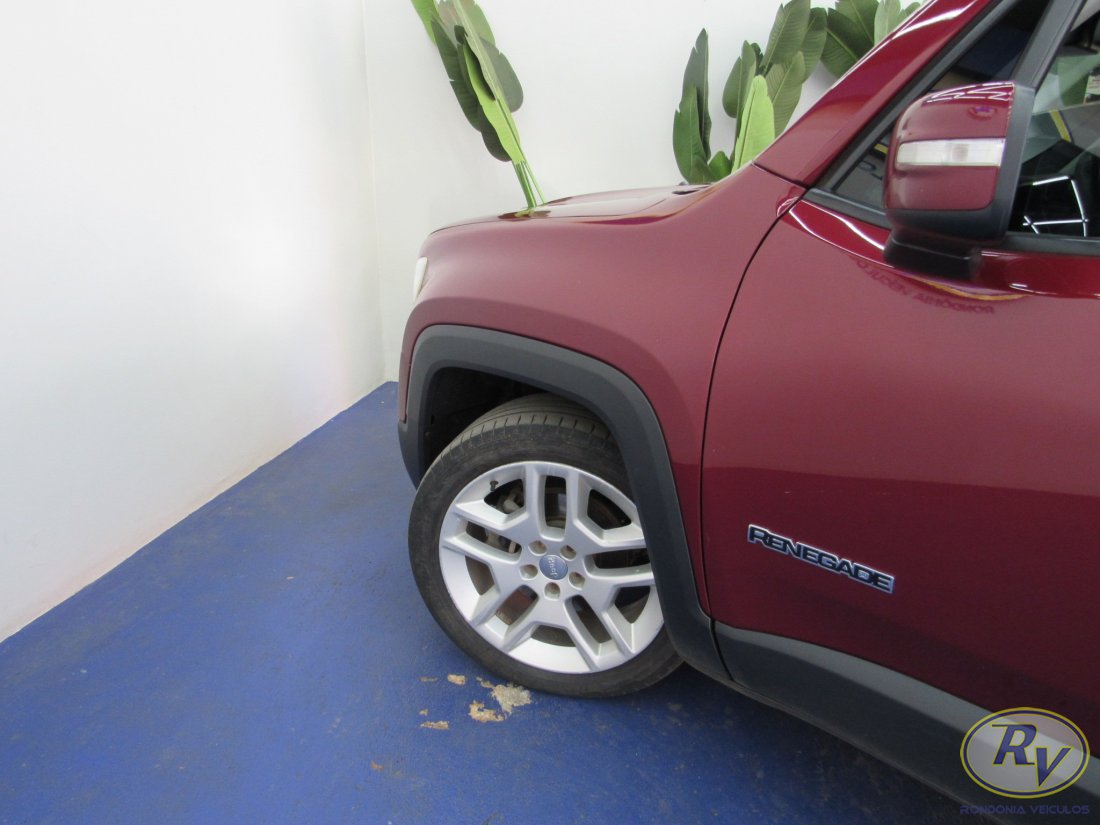 RENEGADE LIMITED